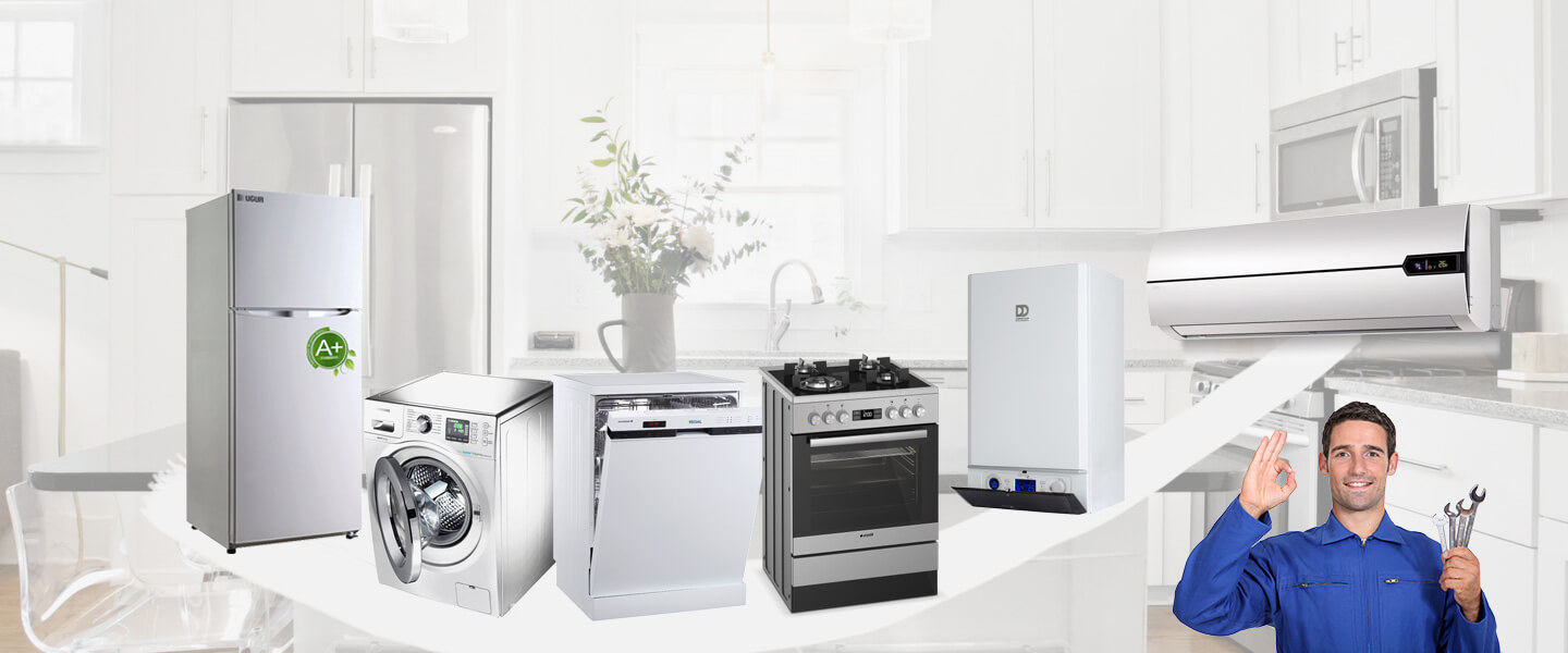Çay Warmhaus Servisi